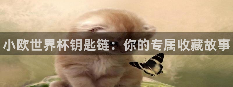 世界杯预选赛赛程表：小欧世界杯钥匙链：你的专属收藏故事
