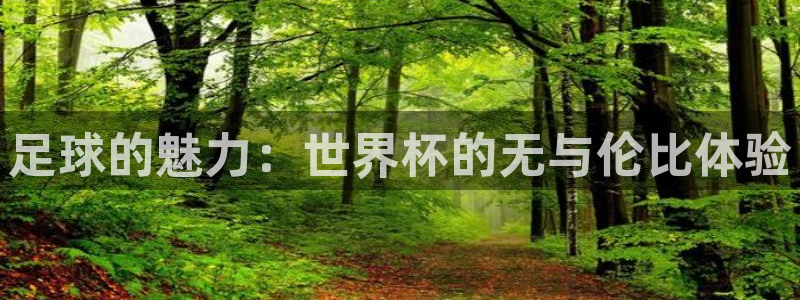 欧洲区世界杯预选赛：足球的魅力：世界杯的无与伦比体验