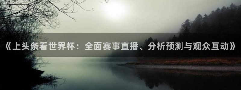 世界直播：《上头条看世界杯：全面赛事直播、分析预测与观众互动》