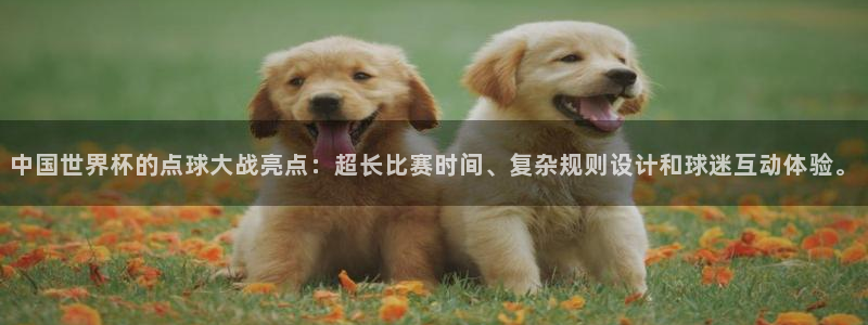 世界杯预选赛排名:中国世界杯的点球大战亮点:超长比赛时间、复杂规则设计和球迷互动体验。