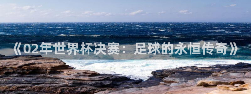 世界杯官网：《02年世界杯决赛：足球的永恒传奇》