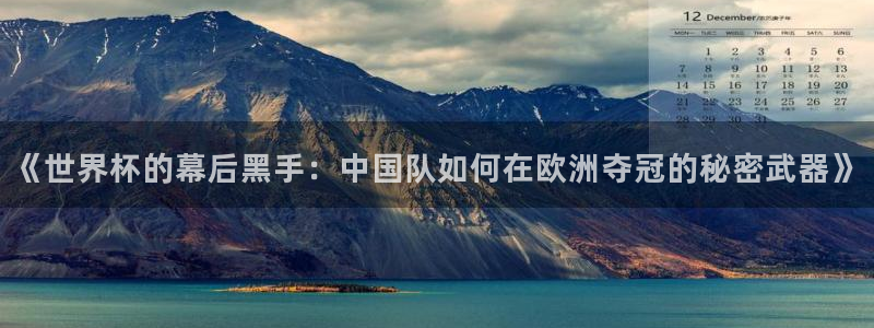 世界杯球队：《世界杯的幕后黑手：中国队如何在欧洲夺冠的秘密武器》