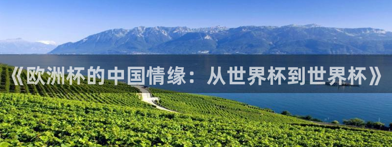 世界杯直播网：《欧洲杯的中国情缘：从世界杯到世界杯》