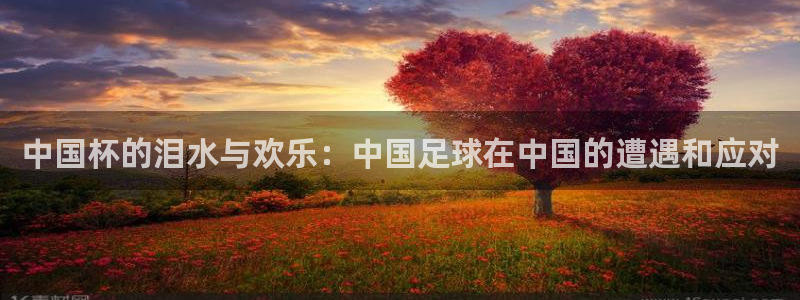 世界杯足球直播：中国杯的泪水与欢乐：中国足球在中国的遭遇和应对