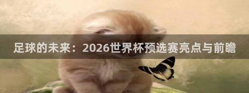 葡萄牙世界杯赛程：足球的未来：2026世界杯预选赛亮点与前瞻