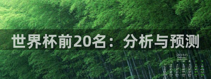 世界杯足球赛：世界杯前20名：分析与预测
