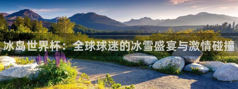 世界杯预选赛2026：冰岛世界杯：全球球迷的冰雪盛宴与激情碰撞